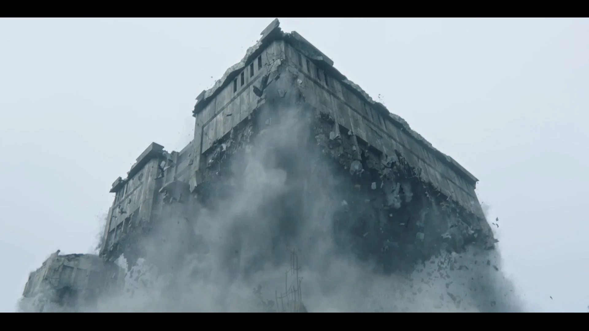 The Institute