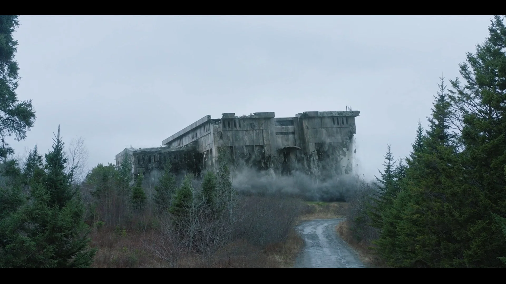 The Institute